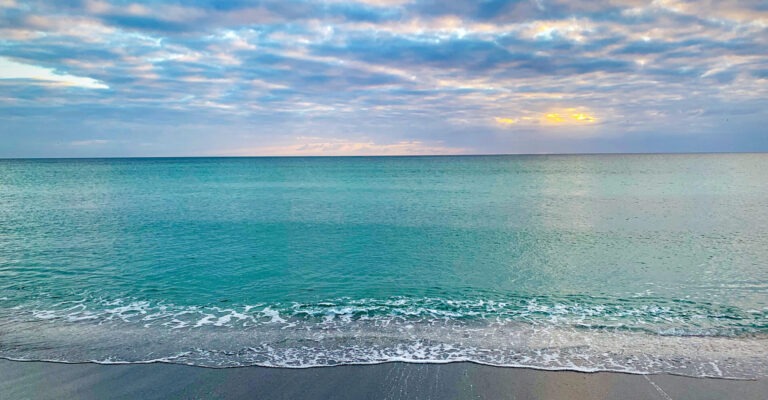 Read all the News in past editions of Longboat Key News